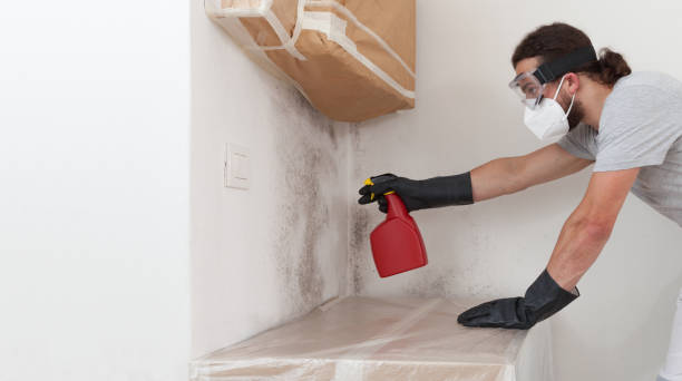 Professional Crawl Space Mold Removal technician working in Milton, MA